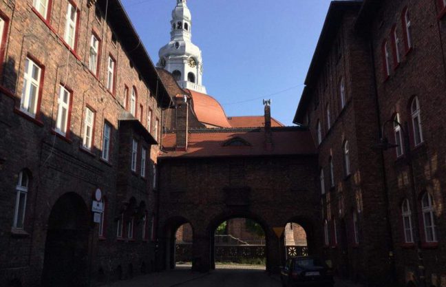 received_2427138024002193